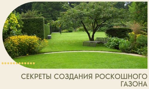Секреты создания роскошного газона в Шумерле