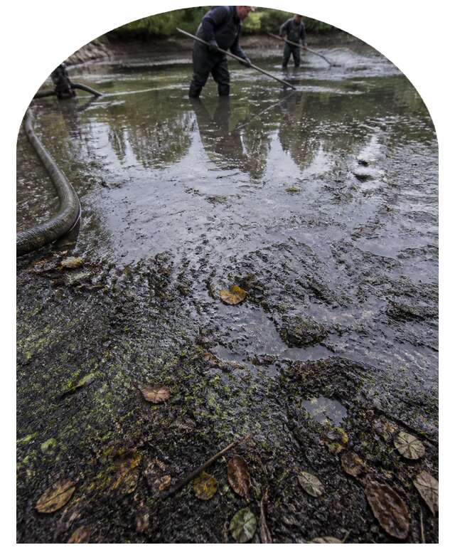 Очистка пруда в Шумерле от ила мусора и водорослей с вывозом